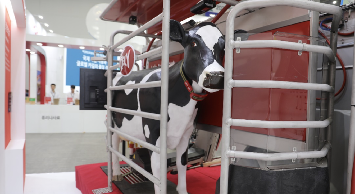 robotic milking system